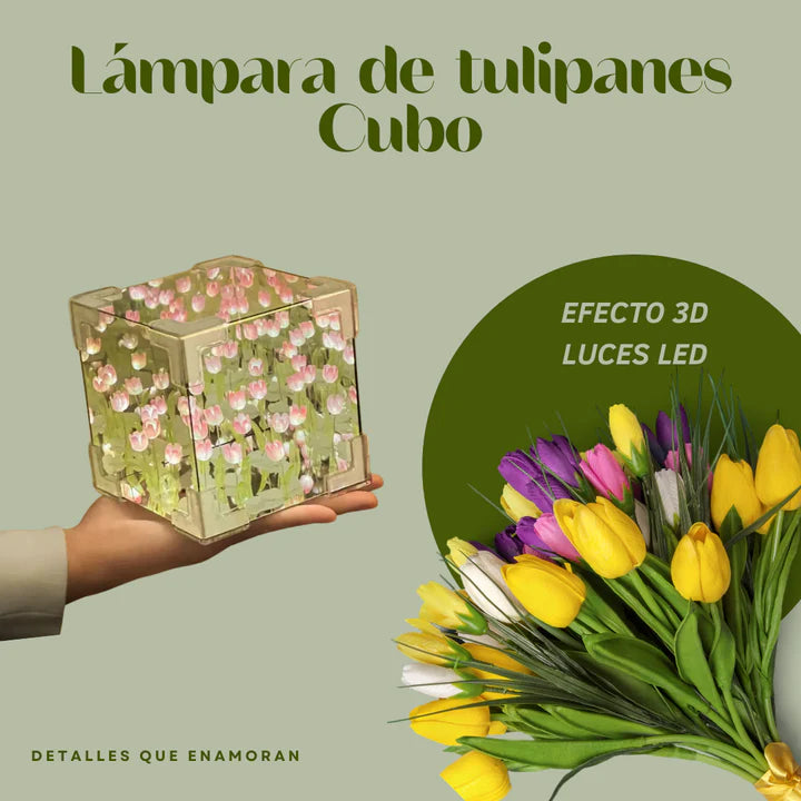 CUBO TULIPAN