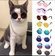 LENTES PARA MASCOTA